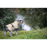 sötnos refleksregnjakke 1