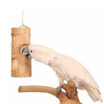 bird-kabob-ole