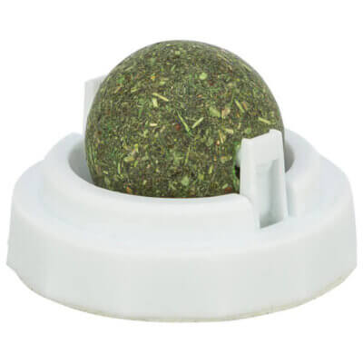 catnip ball with holder