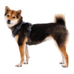 Ruffwear-Front-Range-Sele-Basalt-Gray-(4)
