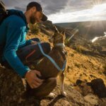 Ruffwear-Hi-&-Light-Halsbånd-Blue-Dusk-(1)