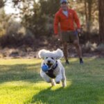 Ruffwear-Huckama-Legetøj-Heliotrope-Purple-(1)