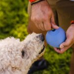 Ruffwear-Huckama-Legetøj-Heliotrope-Purple-(4)