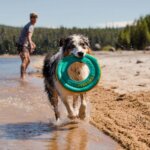 Ruffwear-Hydro-Plane-Legetøj-Aurora-Teal-(2)