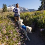 Ruffwear-Trail-Runner-Løbebælte-Blue-Pool-(1)
