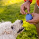 Ruffwear-Turnup-Legetøj-Heliotrope-Purple-(3)