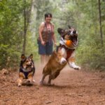 Ruffwear-turnup-Legetøj-Campfire-Orange-(1)