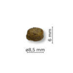 Arion-origonal-skin-&-coat-smal