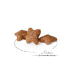 Royal-canin-mini-adult2