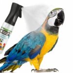back-zoo-nature-extreme-mistmaker-(2)