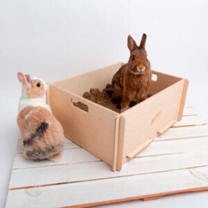 Bunny Digging Box