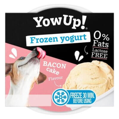 Hundeis-Frozen-Yogurt-Bacon-Cake