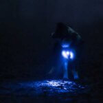 Orbiloc-dual-dog-blue-hund