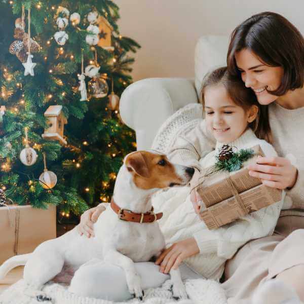 Julegaveidéer til hund