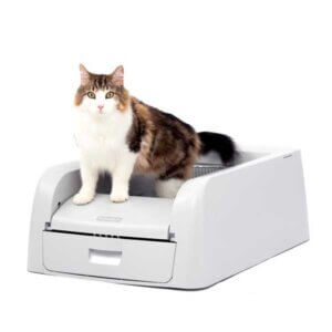 Elektrisk selvrensende kattetoilet - ScoopFree NEW