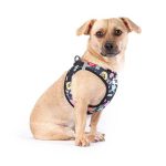 Curli-Vest-Clasp-Air-Mesh-Comic-Limited-Black-1