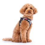 Curli-Vest-Clasp-Air-Mesh-Comic-Limited-Black-2